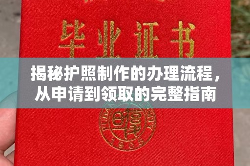 望花揭秘护照制作的办理流程，从申请到领取的完整指南